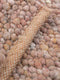 Momo Rugs Natural Weaves Wool Cloud 231 170x230 cm