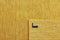 MOMO Rugs Panorama Uni Gold Vloerkleed - 170x240 - Rechthoek - Laagpolig Tapijt - Modern - Geel