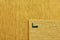 MOMO Rugs Panorama Uni Gold Vloerkleed - 90x160 - Rechthoek - Laagpolig Tapijt - Modern - Geel