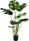 Monstera 110 cm