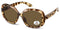 Montana Fashion Zonnebril MP63A Glanzend Demi