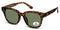 Montana Fashion Zonnebril MP69B Glanzend Turtle
