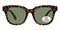 Montana Fashion Zonnebril MP69B Glanzend Turtle