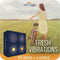 Moodo Aroma Capsules Set Fresh Vibrations 4 geuren