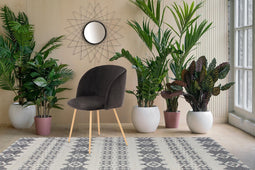 Mooyak Anilec Eetkamerstoelen set van 2 Zwart