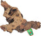 Mopani Hout - Aquariumdecoratie - Medium
