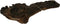 Mopani Hout - Aquariumdecoratie - Medium