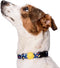 Morso - Halsband Hond Gerecycled Color Invaders Paars