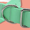 Morso - Halsband Hond Waterproof Gerecycled Carribean Green Groen
