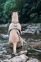 Morso - Hondentuig - H-Tuig - Gerecycled - Full Metal Dog Bruin - 70-100X2.5 cm