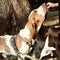 Morso - Hondentuig - H-Tuig - Gerecycled - Full Metal Dog Bruin - 60-80X2.5 cm