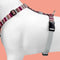 Morso - Hondentuig H-Tuig - Gerecycled - Skyline Rood/ Roze - 60-80X2,5 cm