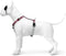 Morso - Hondentuig H-Tuig Gerecycled Skyline Rood / Roze