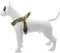 Morso - Mini Hondentuig - Verstelbaar - Gerecycled - Full Metal Dog Bruin - 24-32X1.5 cm