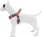 Morso - Mini Hondentuig Verstelbaar Gerecycled Skyline Rood / Roze