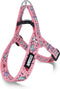 Morso - Mini Hondentuig Verstelbaar Gerecycled Sweet Tweet Roze