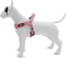 Morso - Mini Hondentuig Verstelbaar Gerecycled Sweet Tweet Roze