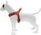 Morso - Mini Hondentuig Verstelbaar Gerecycled Urban Lizard Rood