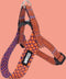 Morso - Mini Hondentuig Verstelbaar Gerecycled Urban Lizard Rood