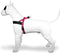 Morso - Norwegian Hondentuig - Gerecycled - Bubble Leo Roze - 46-60X42 cm