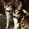 Morso - Norwegian Hondentuig - Gerecycled - Full Metal Dog Bruin - 46-60X42 cm