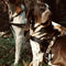 Morso - Norwegian Hondentuig - Gerecycled - Full Metal Dog Bruin - 80-110X66 cm