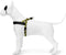 Morso - Norwegian Hondentuig - Gerecycled - Full Metal Dog Bruin - 80-110X66 cm