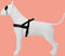 Morso - Norwegian Hondentuig - Gerecycled - Pureness Zwart - 46-60X42 cm