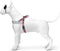 Morso - Norwegian Hondentuig - Gerecycled - Skyline Rood/ Roze - 69-86X63 cm