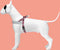 Morso - Norwegian Hondentuig - Gerecycled - Skyline Rood/ Roze - 69-86X63 cm