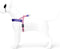 Morso - Norwegian Hondentuig - Gerecycled - Sweet Tweet Roze - 80-110X66 cm