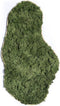 Mosschilderij | Organische vorm | Rendiermos | ↑60CM - 30CM