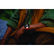 Garmin Instinct 3 - Smartwatch - 1.3