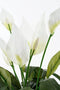 Mica Decorations Spathiphyllum - Kunstplant - Onderhoudsarm - Wit H50 x D40 cm