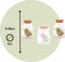 Plant in a Box - Mix van 6 Tillandsia - Luchtplantjes in glazen deco flesje