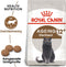 Royal Canin Ageing Sterilised 12+ - Kattenvoer - 4 kg