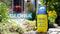 Gloria Prima 3 - Drukspuit 3L - Max. druk 3 bar