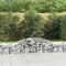 vidaXL - Schanskorven - 5 - st - gewelfd - 300x50x40/60 - cm - gegalvaniseerd - ijzer