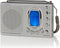 Nedis RDWR1000GY - Portable Radio - Wekkerfunctie Klok Radio alarm - Grijs