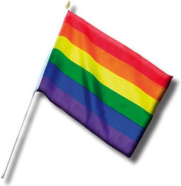 LGBT+ Pride Pennant Small 30 cm