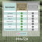 PHLOX Handdoeken Set 50x100 cm - 6 stuks - 600 g/m2 Zacht Katoen - Supreme Collectie - Oud Groen