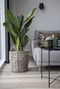 House Nordic Kunstplant Bananen Palm