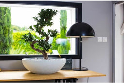 Bloempot EDA Ø 59 cm Wit Plastic Cirkelvormig