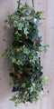 Hangzak herfstplanten