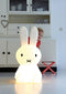 Mr Maria - Nijntje XL Lamp - 80 cm - Ledlamp incl. dimmer - Wit