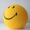 Mr Maria - Smiley XL lamp - 45 cm - dimbaar