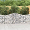 vidaXL - Schanskorven - 6 - st - gewelfd - 200x30x80/100 - cm - gegalvaniseerd - ijzer