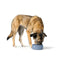 Voerbak voor honden Hunter OSBY Blauw Keramisch 550 ml