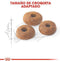 Royal Canin Fit - Kattenvoer Brokjes - Behoud ideaal lichaamsgewicht en voorkomt haarballen - 10 kg
