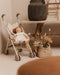 Mrs Ertha Poppenwagen/Doll Stroller/Buggy - Little Daisys